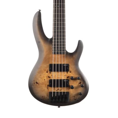 ESP LTD B-5 Ebony 5 String Bass - Charcoal Burst Satin for sale