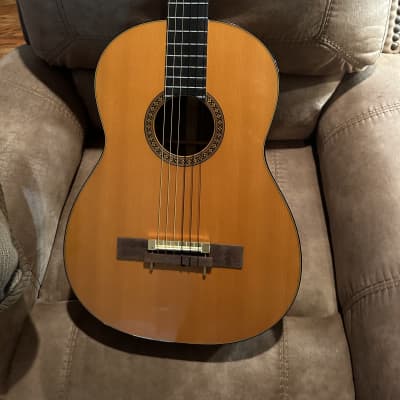 Martin N-20 1968 - 1992 - Natural for sale