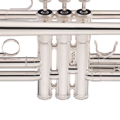 Intermediate Trumpet - brass image 16