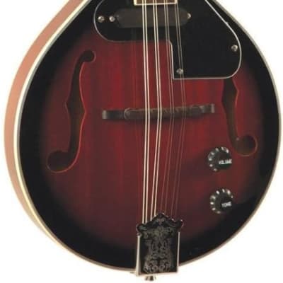 Aria AM-200EBS Acoustic/Electric Mandolin W/Case | Reverb