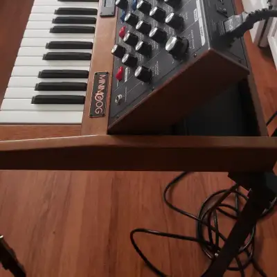 Moog Minimoog Voyager XL 61-Key Monophonic Synthesizer with Anvil Case with Wheels. image 18