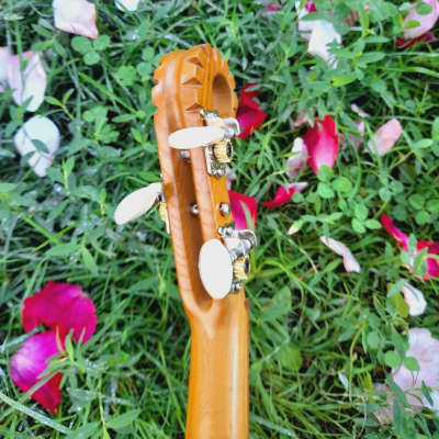 Georgian folk music instrument Panduri | String instrument Panduri | ფანდური | Fanduri image 17