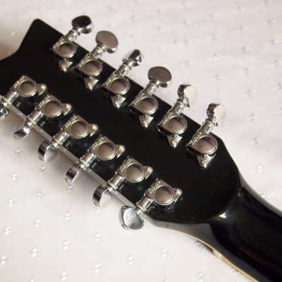 Washburn EA20MB-12 12弦ギター Washburn Festival EA20MB-12 1995 Black | Reverb Australia