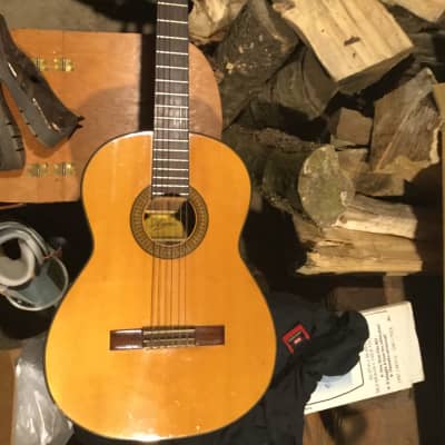 Ariana  A588 Vintage Acoustic Guitar image 1