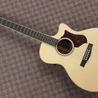 Brand New Martin GPCPA Mahogany Acoustic Guitar image 1