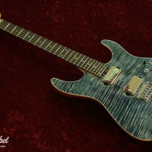 激安/新作 Buzz w DST-DX24 Guitars s T Feiten Blue Trans System Tuning ギター