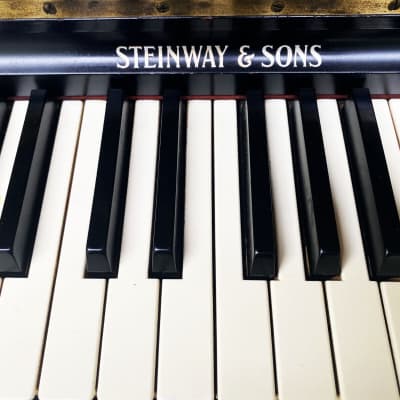 Steinway & Sons Upright piano 1098 model image 2