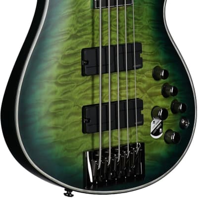 Schecter Daniel Firth Hellraiser Extreme-5 Electric Bass Gui