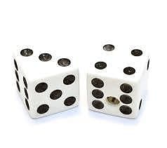 White Dice Knobs - 2 Pack - Universal for Guitar and Bass image 1