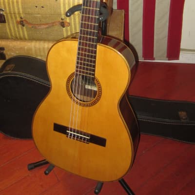 Vintage Circa 1969 Giannini AWN-21 Classical Nylon String Acoustic Guitar image 2