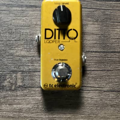 TC Electronic Ditto Looper Limited Edition | Reverb