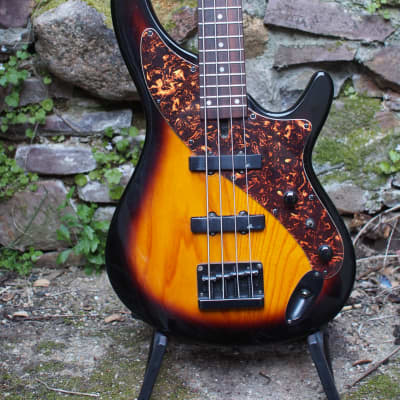 Aria Pro II Avante Series Steve Bailey Signature 4 String