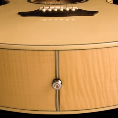 Washburn EA20 Festival Series Cutaway Acoustic Electric Guitar. Natural Item ID: EA20-A-U image 5