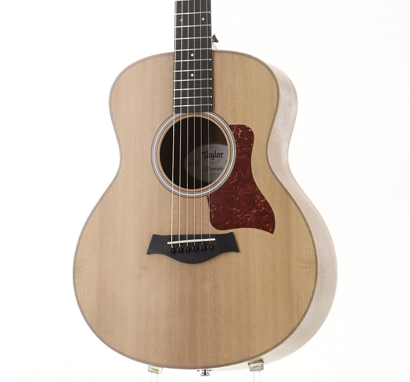 TAYLOR GS mini-e Walnut [SN 2104208550] (03/04)