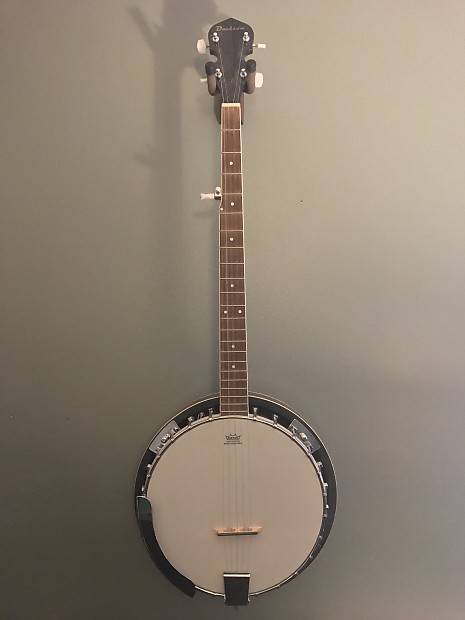 Davison banjo on sale
