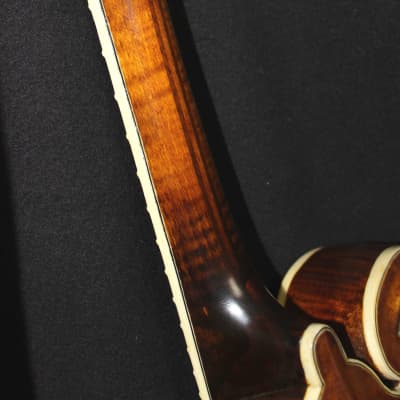 Cross Cross Mandolin F-5 Style, Brand New, Made in U.S.A., Hard Shell Case Included 2021 Light Sunbu image 9