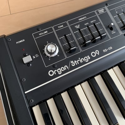 Roland RS-09 44-Key Organ / String Synthesizer | Reverb Italia