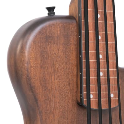 Gold Tone ME-BassFL: 23-Inch Scale Fretless Electric MicroBass with Gig Bag image 14