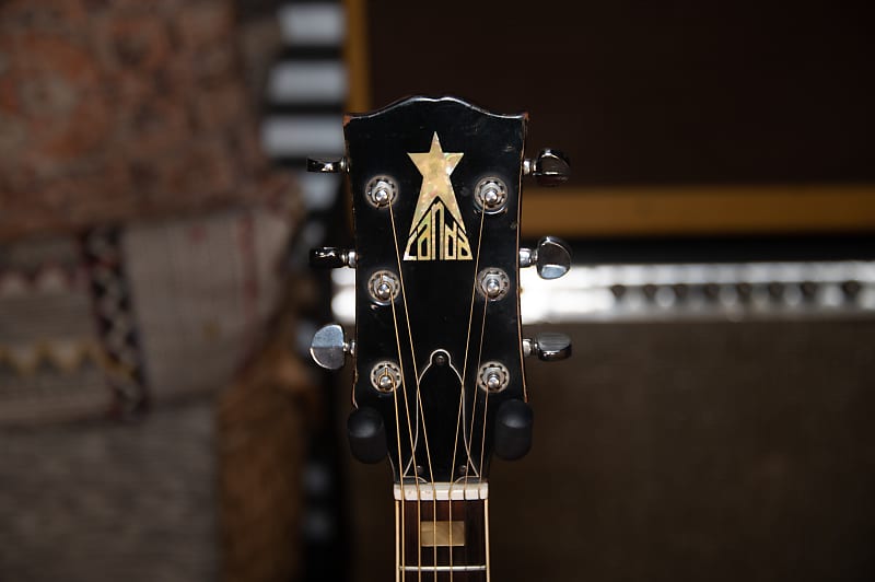 canda 202 アコースティックギター Canda 202 Square Shoulder Dreadnought Hummingbird Style