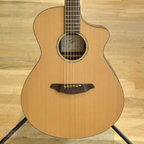 Breedlove AC250/CR Syn  Natural image 1