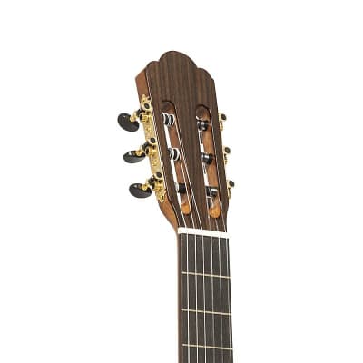 Angel Lopez Mazuelo Classical Acoustic Guitar - Spruce - MAZUELO SR image 4