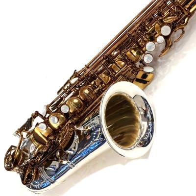 FORESTONE Alto Saxophone Forestone GX COLORS image 10