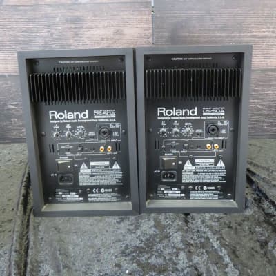 Roland DS-50A Studio Monitor(Pair) (Raleigh, NC) | Reverb