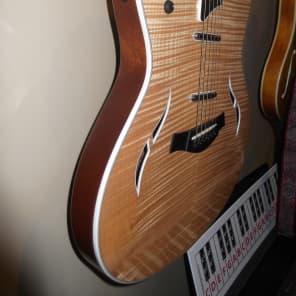 Taylor T5  Flamed Maple image 2