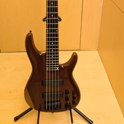 momose MJ1-LTD/Macassar Ebony/E (NAT) [IKEBE ORIGINAL MODEL