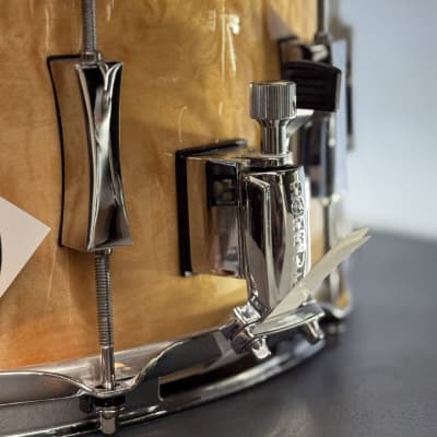 Pork Pie Percussion 7X14 CURLY MAPLE HI-GLOSS MAPLE MAX SHELL image 2