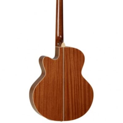 Tanglewood Winterleaf Series TW8 Electro-Acoustic Bass Guitar image 2