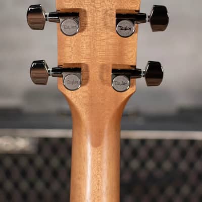 Taylor 210ce Plus Dreadnought with Aerocase - Demo image 6