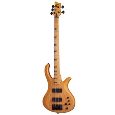 Schecter Riot-5 Session 5-String Bass Guitar (DEC23) image 1