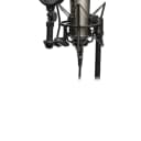 RODE NT2-A Multi-Pattern Large Diaphragm Condenser Microphone with pop filter