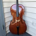 Palatino VC-450 Allegro Solid Ebony 4/4 Full-Size Cello w/ Gigbag, Bow