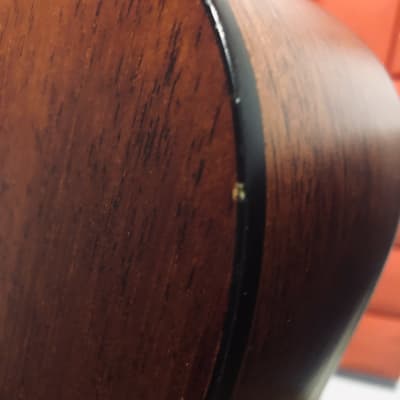 Charvel 550M Mahogany Acoustic Guitar with Gigbag image 16