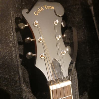 Gold Tone F-6 Manditar 2010s - Tobacco Sunburst image 2