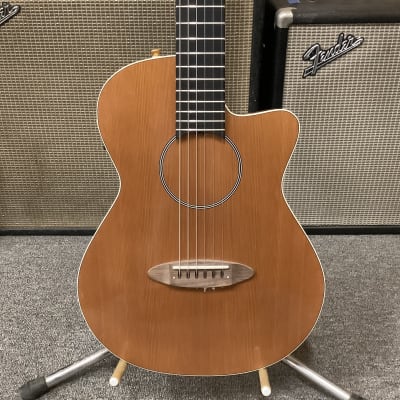 Carruthers' Guitars, Venice, California, Thinline Nylon | Reverb