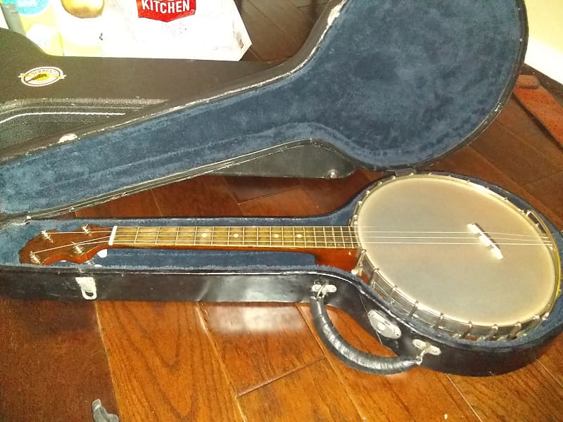Vega Style N Irish Tenor Banjo 1923 + Reworked Case + Upgrades image 1
