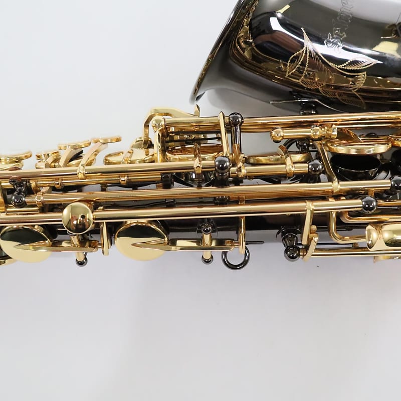 Selmer Model SAS411B Intermediate Alto Saxophone in Black