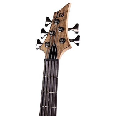 ESP LTD B-205SM 5-String Bass(New) image 4