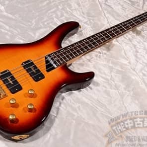 Washburn KE 1250 KIP WINGER SIGNATURE MODEL | Reverb