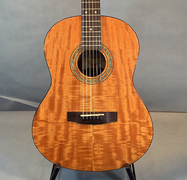 Used zager guitar sale clearance craigslist