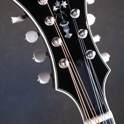 Bourgeois M5-F-BT Black Top Aged F-style mandolin Brand New image 13
