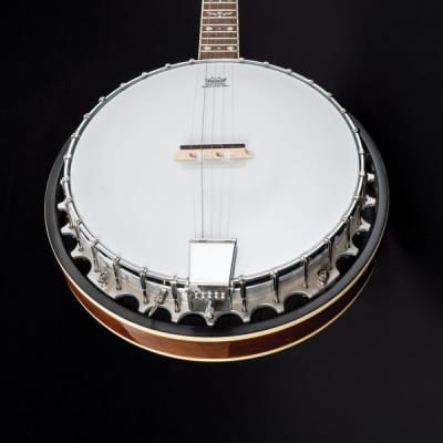 Oscar Schmidt OB5 5-String Banjo image 1