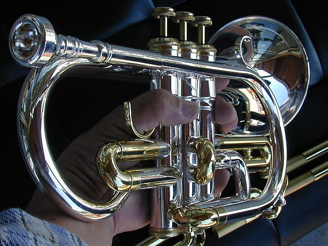 berkeleywind C Bb cornet | Reverb berkeleywind C Bb cornet | Reverb