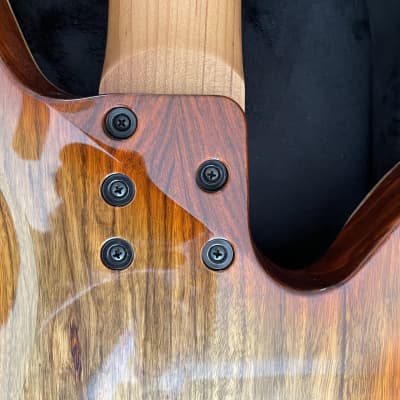 Kiesel Vanquish Bass 6 String 2020 Left Handed image 14