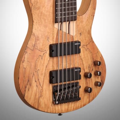 ESP LTD B206SM Electric Bass, 6-String, Natural Satin image 4