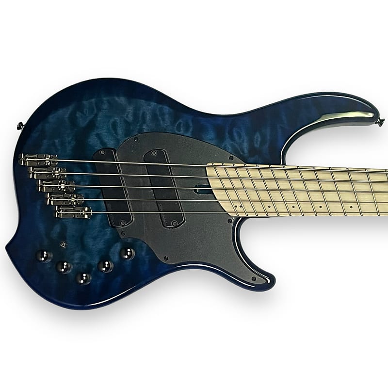 Dingwall Combustion 5 | Reverb