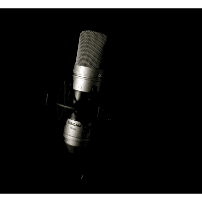 Tascam Studio Condenser Microphone - TM-80 image 4